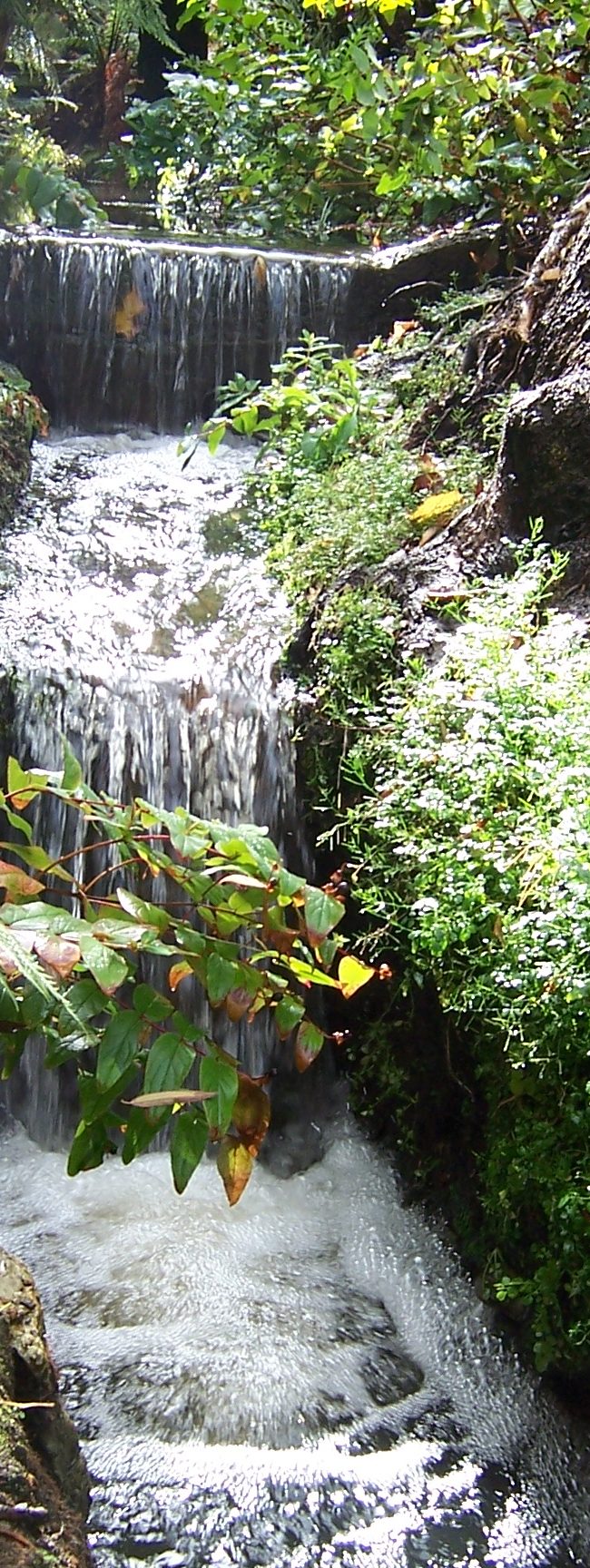 Creek Waterfall